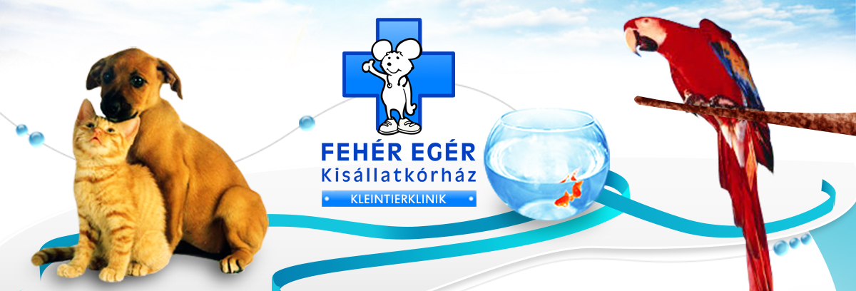 Fejlec Uj