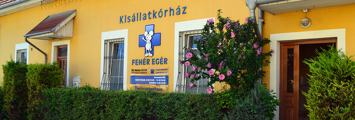 Rendelő